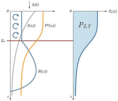 Extended Formulations and Analytic Solutions for Watercolumn Production Integrals